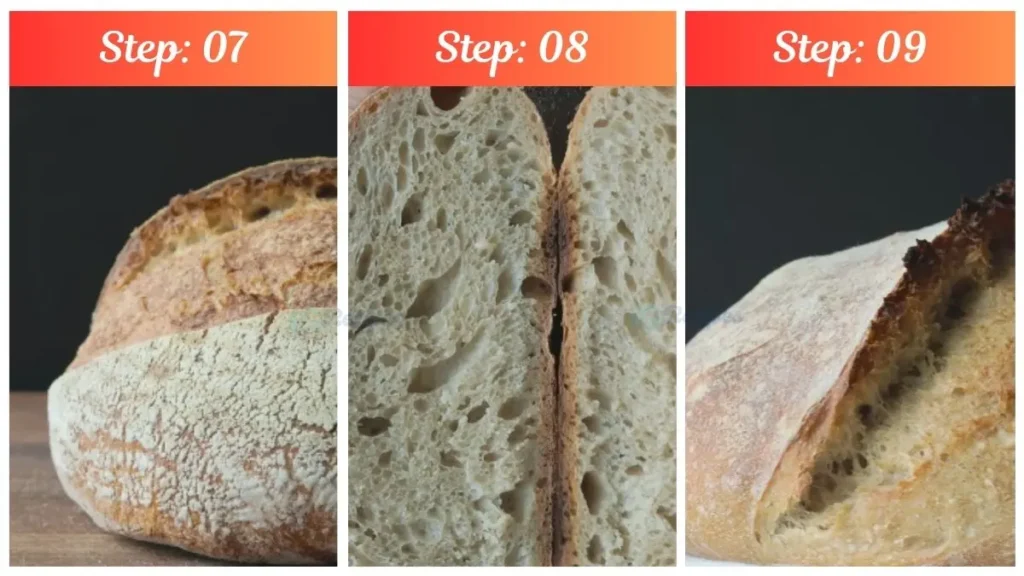 Recipe for Cuisinart Bread Maker Sourdough