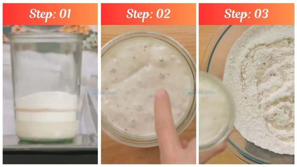 Step by Step Cuisinart Bread Maker Sourdough Recipe