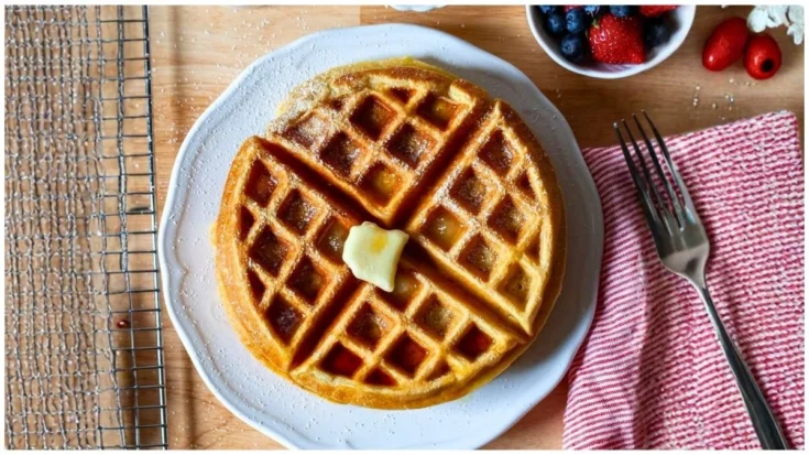 Pioneer Woman Waffle Recipe
