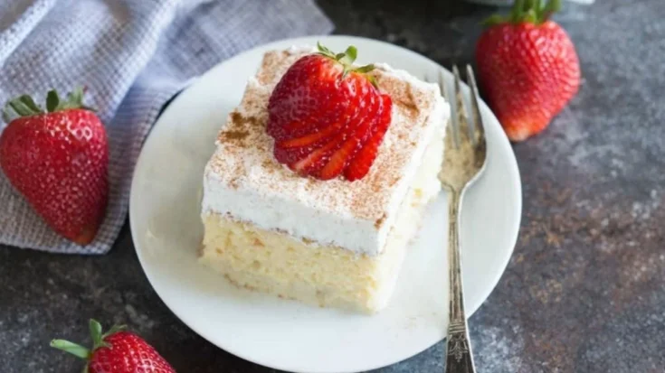 Pioneer Woman Tres Leches Cake Recipe