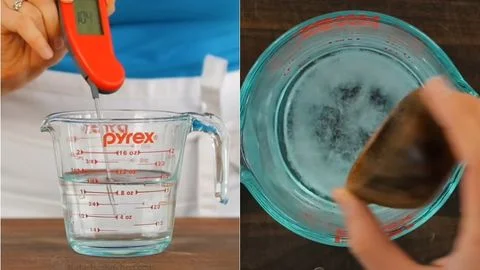 Activate the Yeast