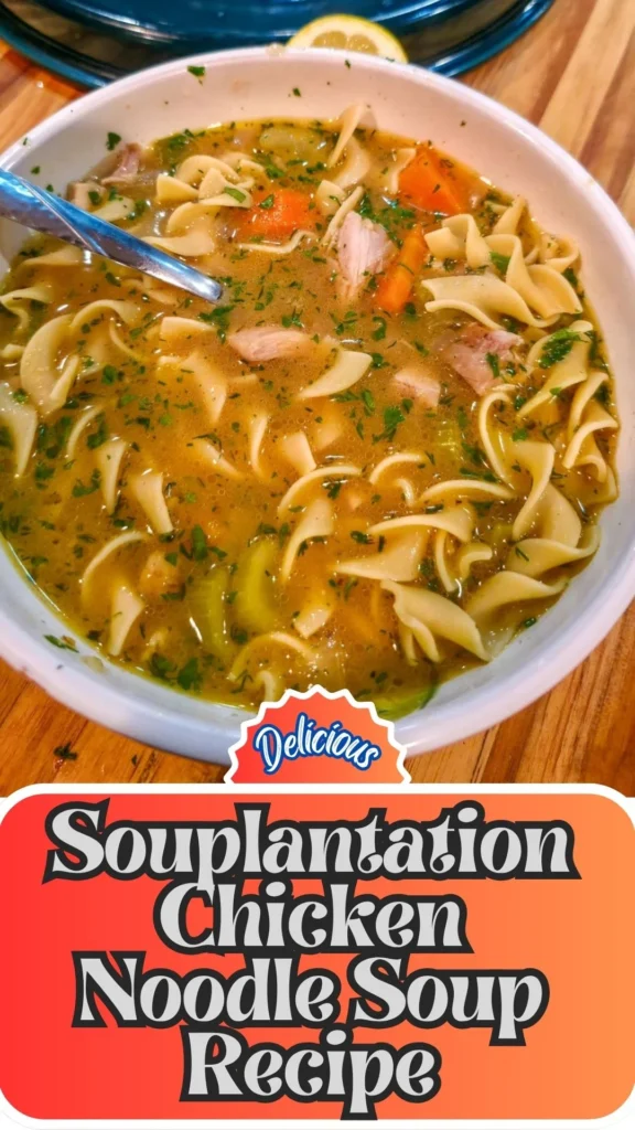 Copycat Souplantation Chicken Noodle Soup Recipe