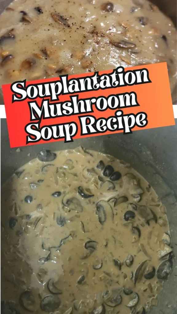 Copycat Souplantation Mushroom Soup Recipe