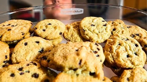 Scoop and Bake